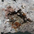 Пегматоидное образование с шабазитом (коричневое), адуляром (розоватое), дымчатым кварцем. Карьер Черноморец, Болгария,