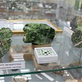 Хромдиопсиды Инаглинского массива