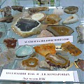 Агаты из коллекции семьи Комаровых