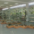 Основной музейный зал сегодня